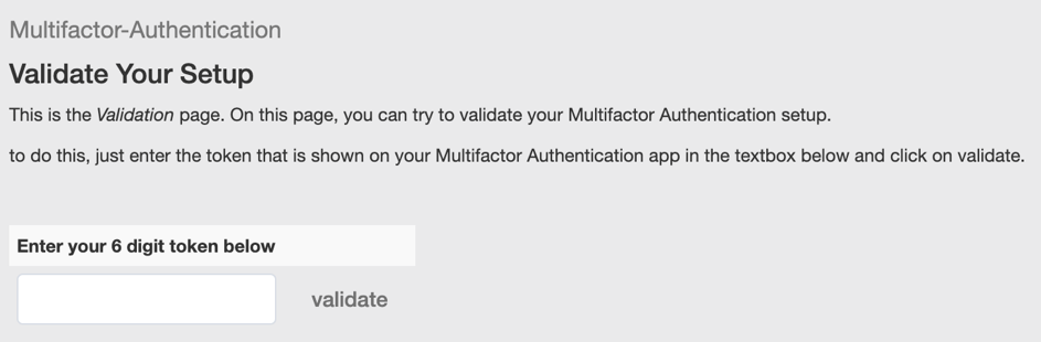 screenshot of token validation page